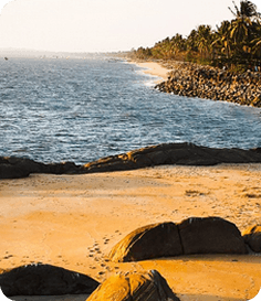 Kozhikode cityscape