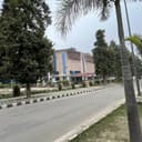 Institute Of Liver And Biliary Sciences