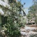 Rohit Hospital